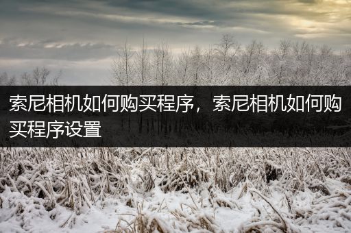 索尼相机如何购买程序，索尼相机如何购买程序设置