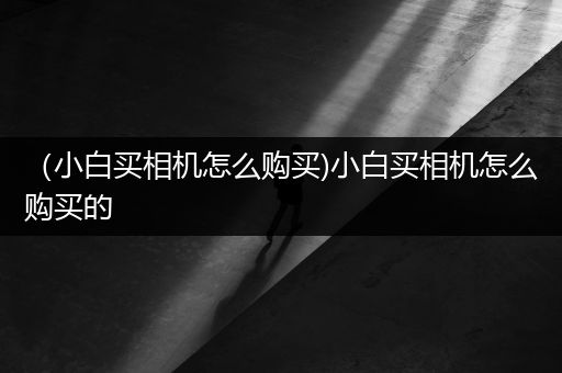 （小白买相机怎么购买)小白买相机怎么购买的