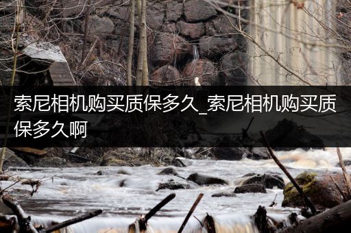 索尼相机购买质保多久_索尼相机购买质保多久啊