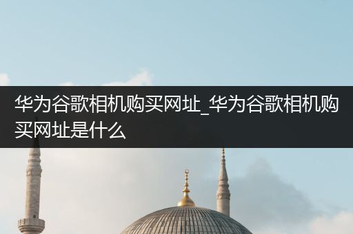 华为谷歌相机购买网址_华为谷歌相机购买网址是什么