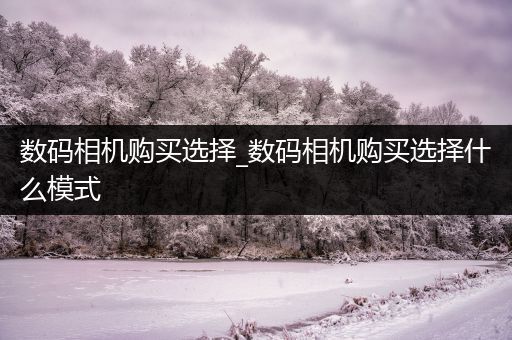 数码相机购买选择_数码相机购买选择什么模式