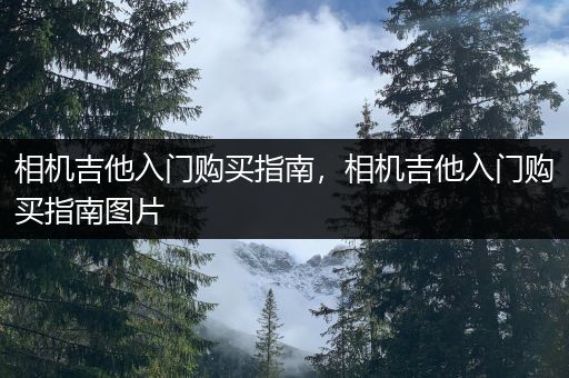 相机吉他入门购买指南，相机吉他入门购买指南图片