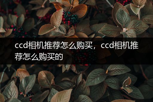 ccd相机推荐怎么购买，ccd相机推荐怎么购买的