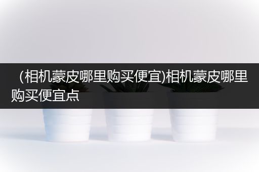 （相机蒙皮哪里购买便宜)相机蒙皮哪里购买便宜点