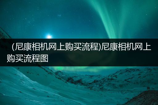 （尼康相机网上购买流程)尼康相机网上购买流程图