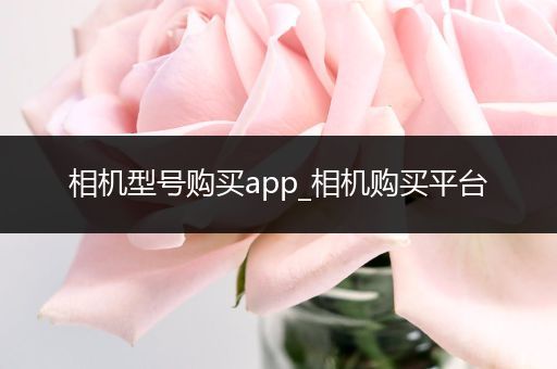 相机型号购买app_相机购买平台