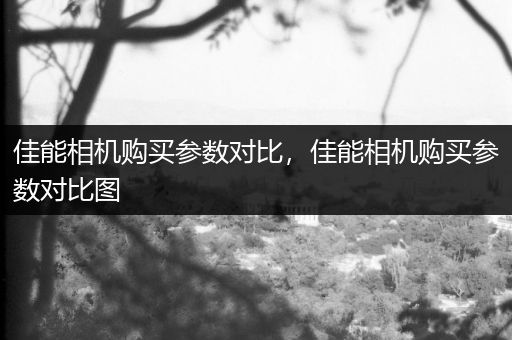 佳能相机购买参数对比，佳能相机购买参数对比图