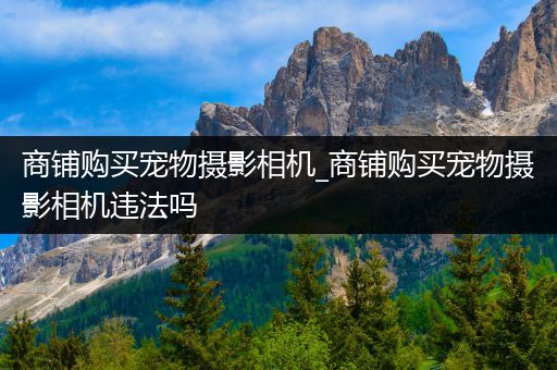 商铺购买宠物摄影相机_商铺购买宠物摄影相机违法吗