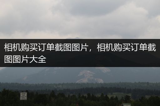 相机购买订单截图图片，相机购买订单截图图片大全