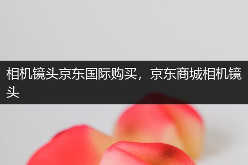 相机镜头京东国际购买，京东商城相机镜头