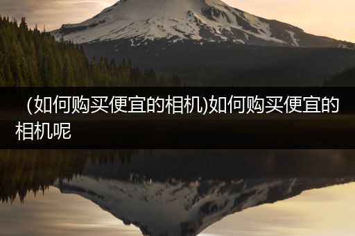 （如何购买便宜的相机)如何购买便宜的相机呢