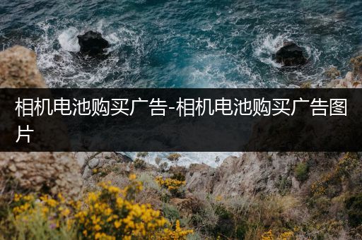 相机电池购买广告-相机电池购买广告图片